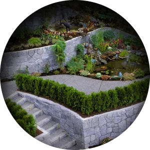 Icon 20